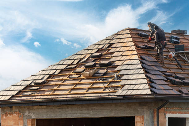 Best Solar Panel Roofing Installation  in Shelby, MT
